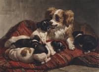 Dog with Puppies