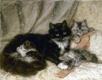 The cats' nap