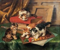 cats in the studio