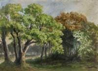 May 1, 1894, on the Common