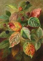 Blackberries