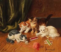 cats playing