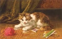 chat et pelote de laine