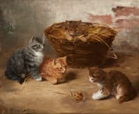 chatons a l'escargot