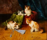 chatons jouant avec un eventail