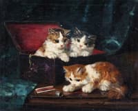 chats jouant