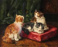 chats jouant