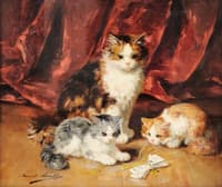 chatte et deux chatons