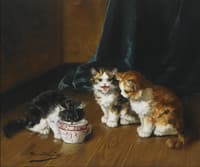 drinking kittens