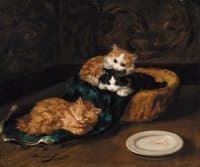 kittens