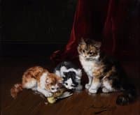 kittens