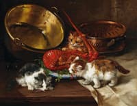 kittens and lobster