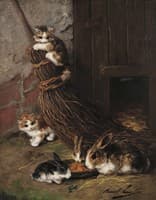 kittens at play