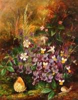 Violets
