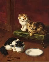 kittens drinking milk