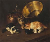 kittens in a kitchen