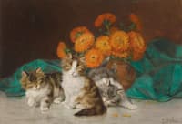 Kittens