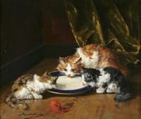 meal time
