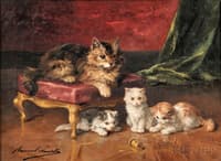 mother cat and her kittens