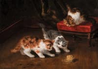 playful kittens
