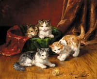 playful kittens