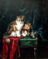 portrait of a cat family