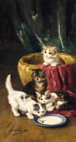 the milk dish