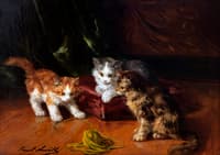 three kittens