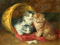 three kittens with a new toy