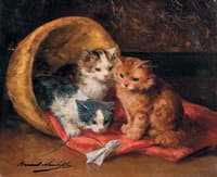 three kittens with a new toy