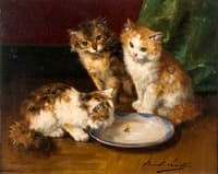 three kittens with a saucer of milk