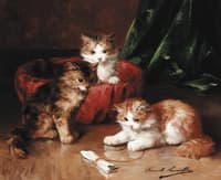 three young kittens