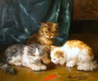 mischievous kittens