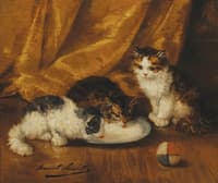 trois chatons et une balle