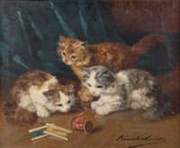 trois chatons jouant avec une bobine fil