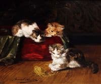 trois chatons