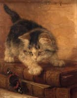 Kitten with a Butterfly