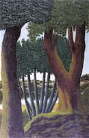 Big Trees