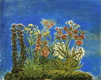 Wildflowers