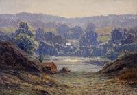 A Morning in Summer