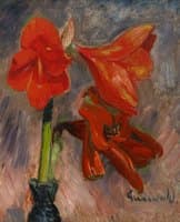 Still life with Amaryllis