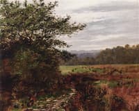 Australian Landscape