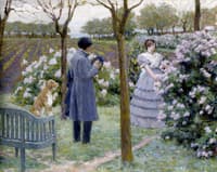 Lilacs in Bloom