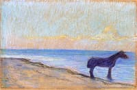 Horse on the Beach