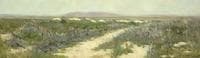 Alameda Marshes