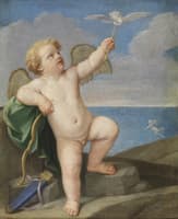 Cupid