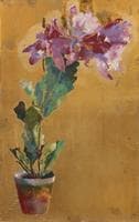 Orchid