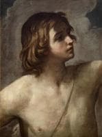 The Young David