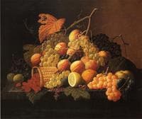 Still life with Fruit