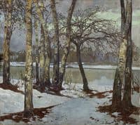 Birch Trees by the Water in Winter